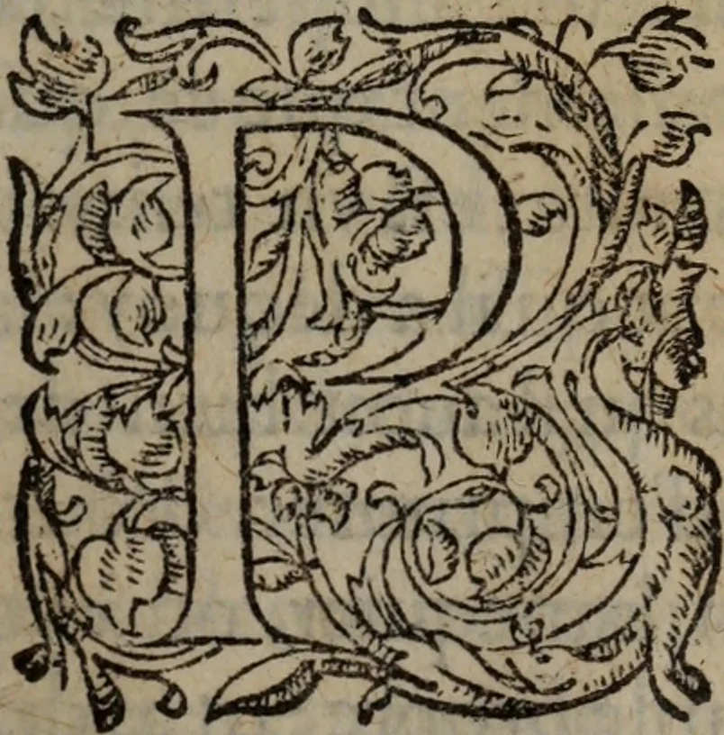 An illustration from Les Oeuvres morales et meslees, 1574, leaf 686