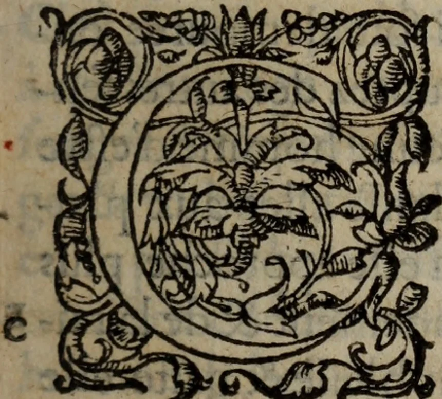 An illustration from Les Oeuvres morales et meslees, 1574, leaf 70