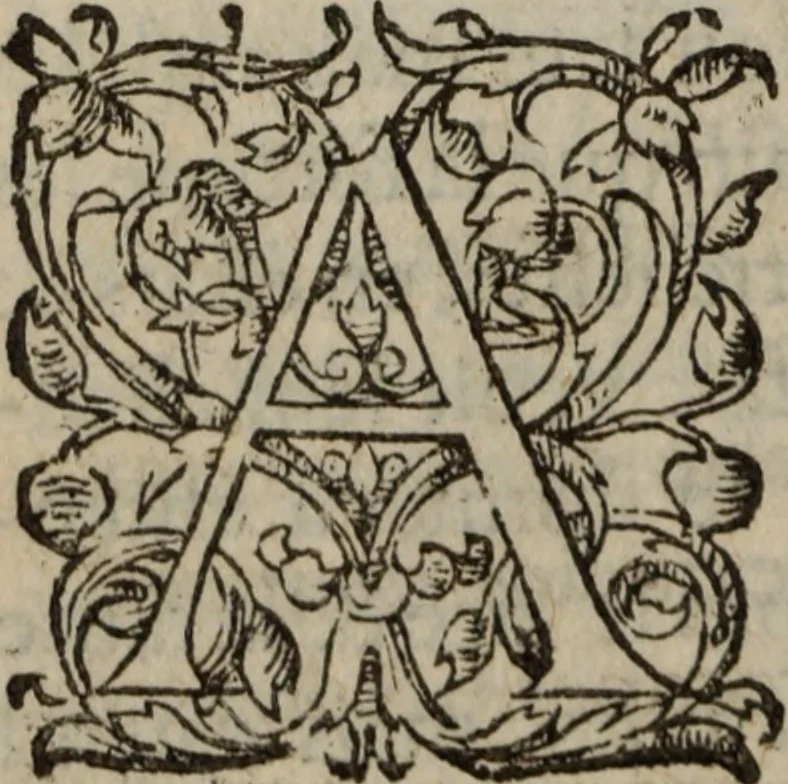 An illustration from Les Oeuvres morales et meslees, 1574, leaf 29