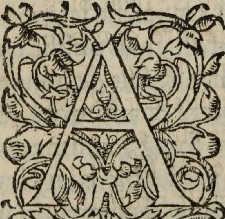 An illustration from Les Oeuvres morales et meslees, 1574, leaf 293