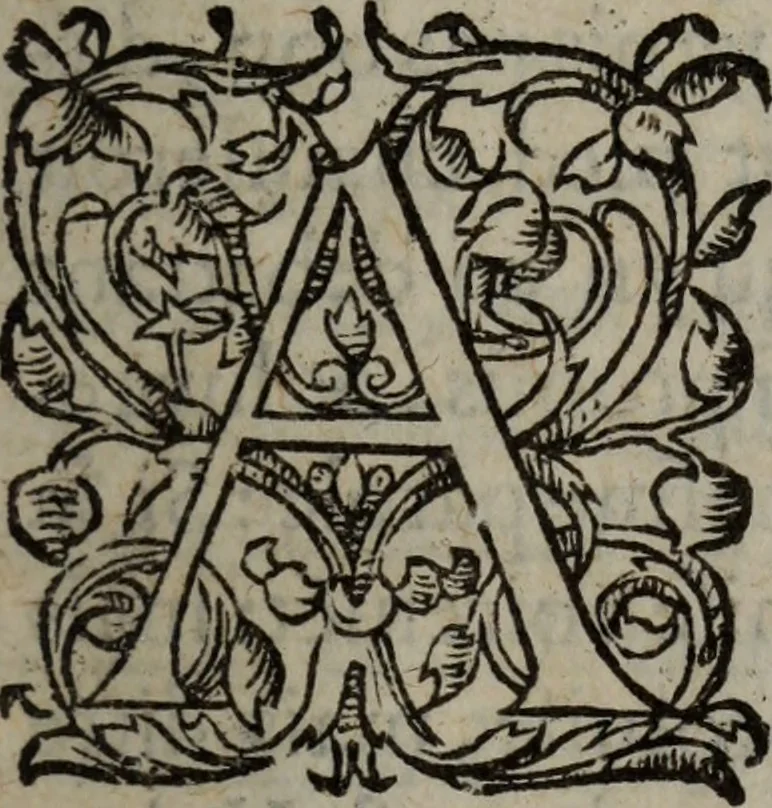 An illustration from Les Oeuvres morales et meslees, 1574, leaf 408