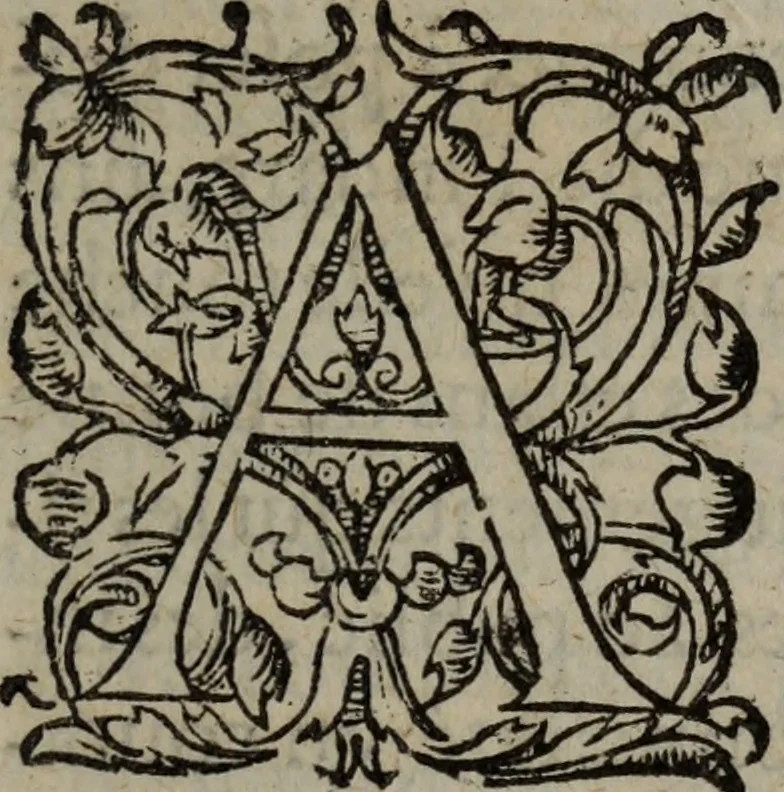 An illustration from Les Oeuvres morales et meslees, 1574, leaf 8