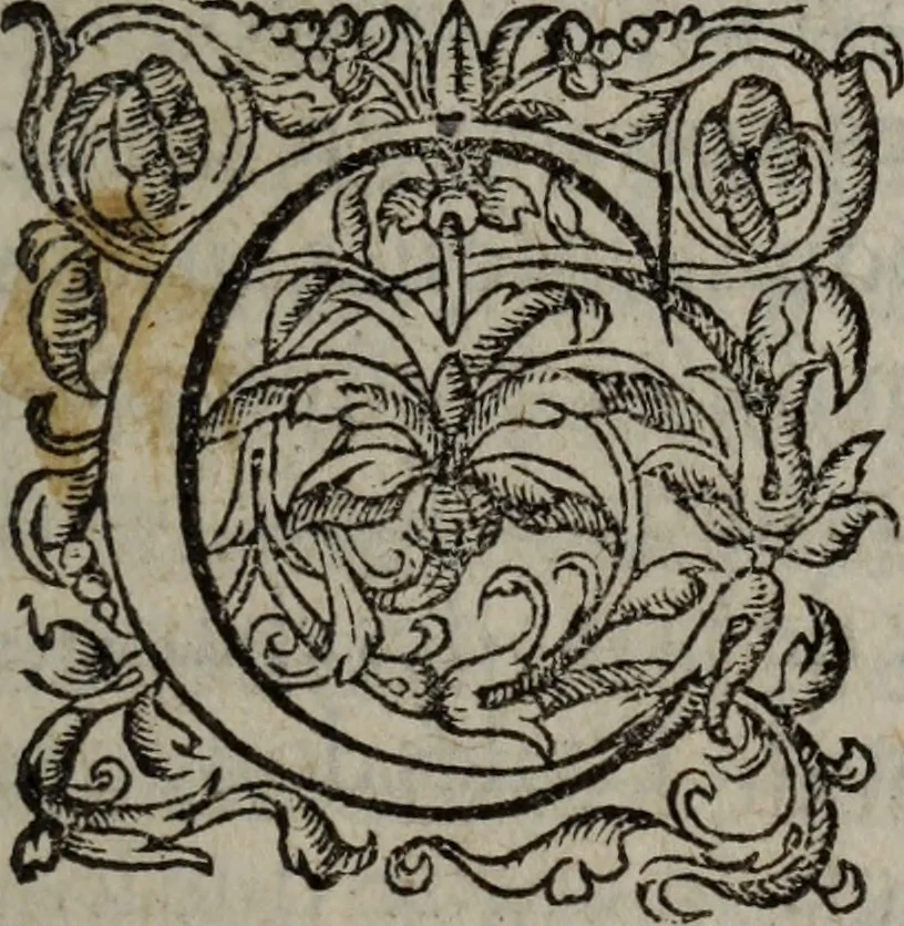 An illustration from Les Oeuvres morales et meslees, 1574, leaf 96
