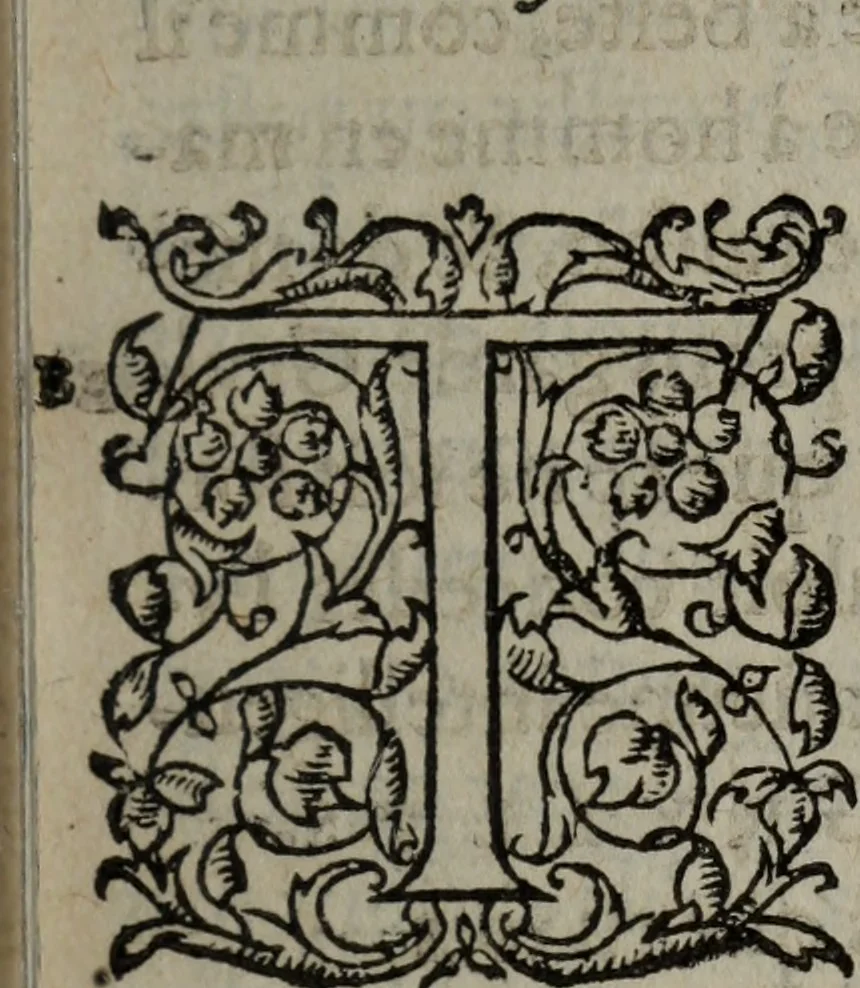 An illustration from Les Oeuvres morales et meslees, 1574, leaf 166