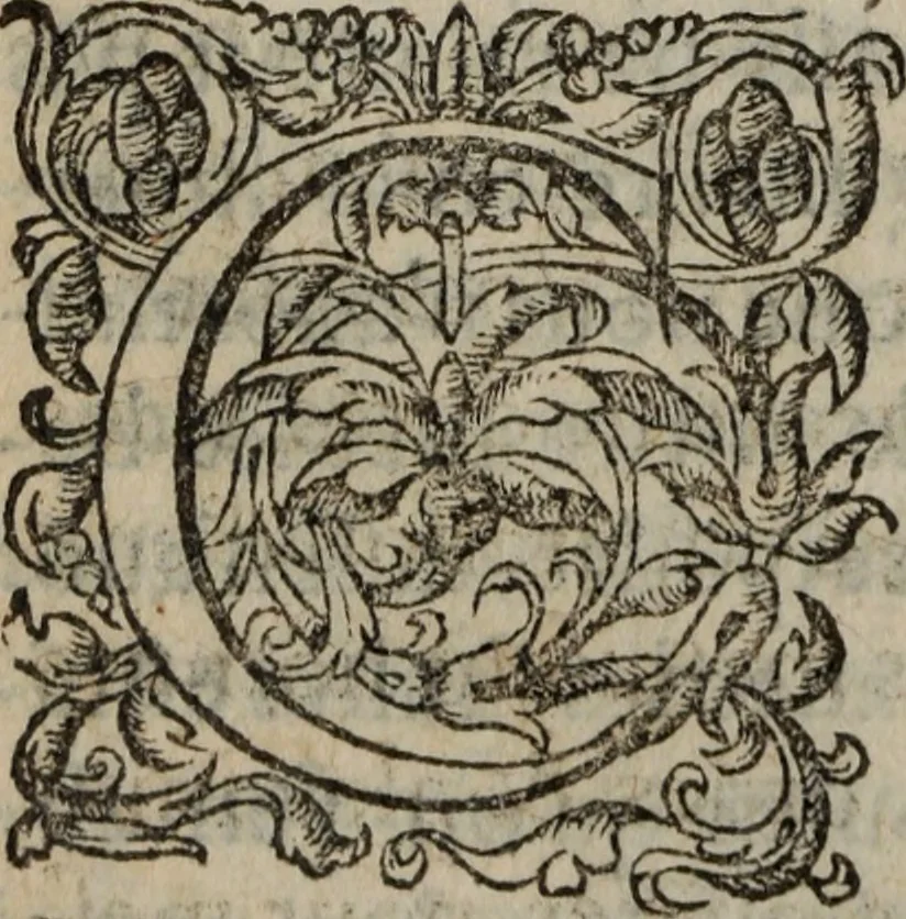 An illustration from Les Oeuvres morales et meslees, 1574, leaf 185