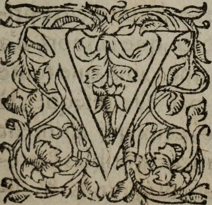 An illustration from Les Oeuvres morales et meslees, 1574, leaf 254