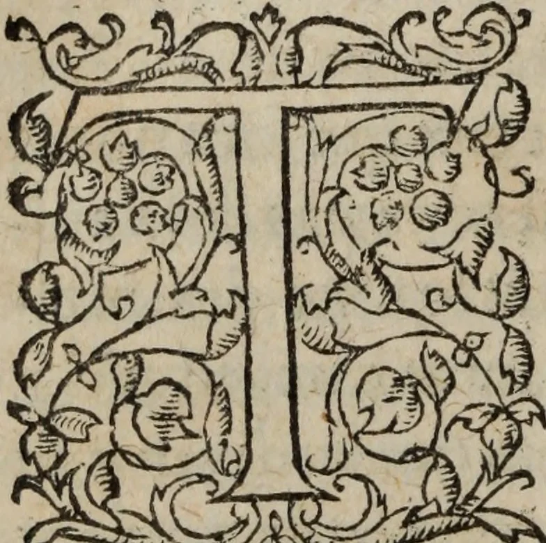 An illustration from Les Oeuvres morales et meslees, 1574, leaf 263