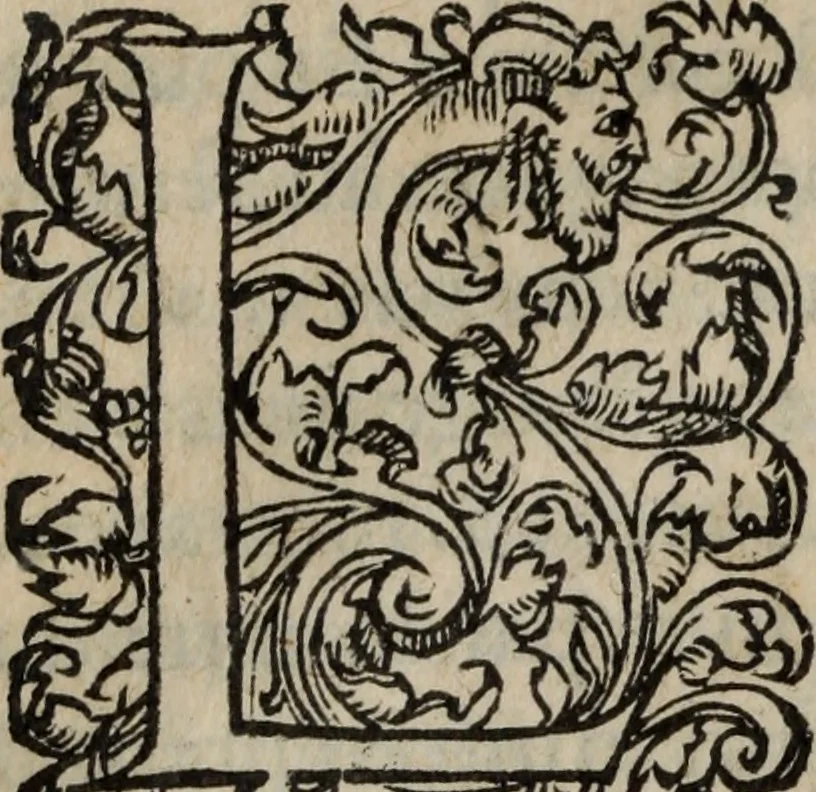 An illustration from Les Oeuvres morales et meslees, 1574, leaf 311
