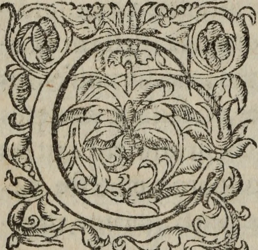 An illustration from Les Oeuvres morales et meslees, 1574, leaf 341