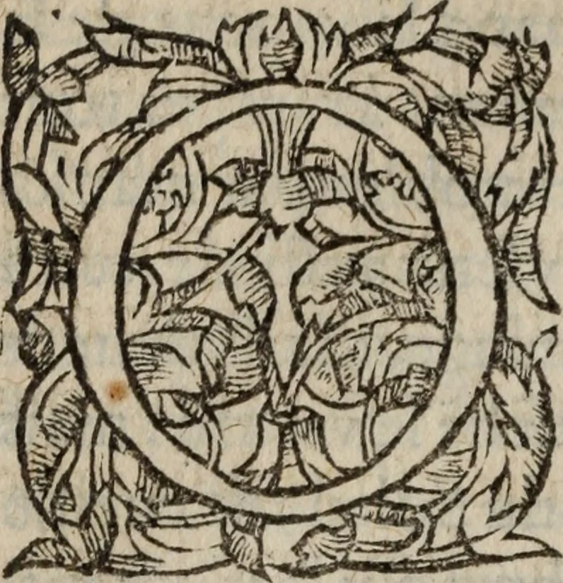 An illustration from Les Oeuvres morales et meslees, 1574, leaf 491