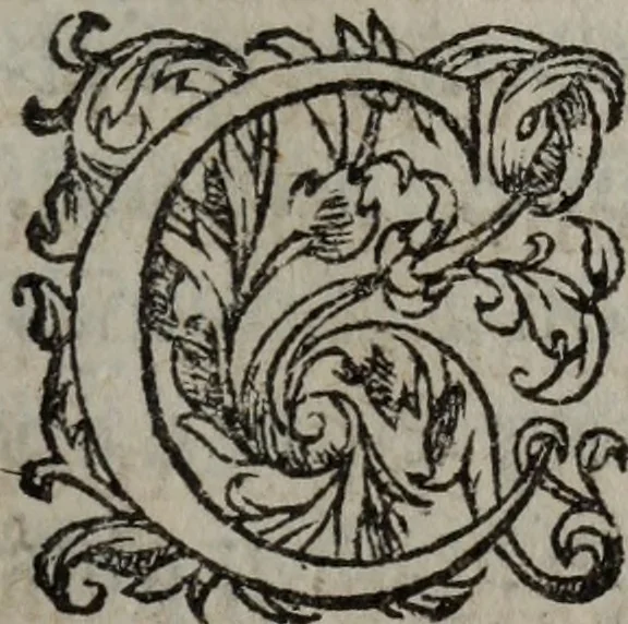 An illustration from Les Oeuvres morales et meslees, 1574, leaf 68