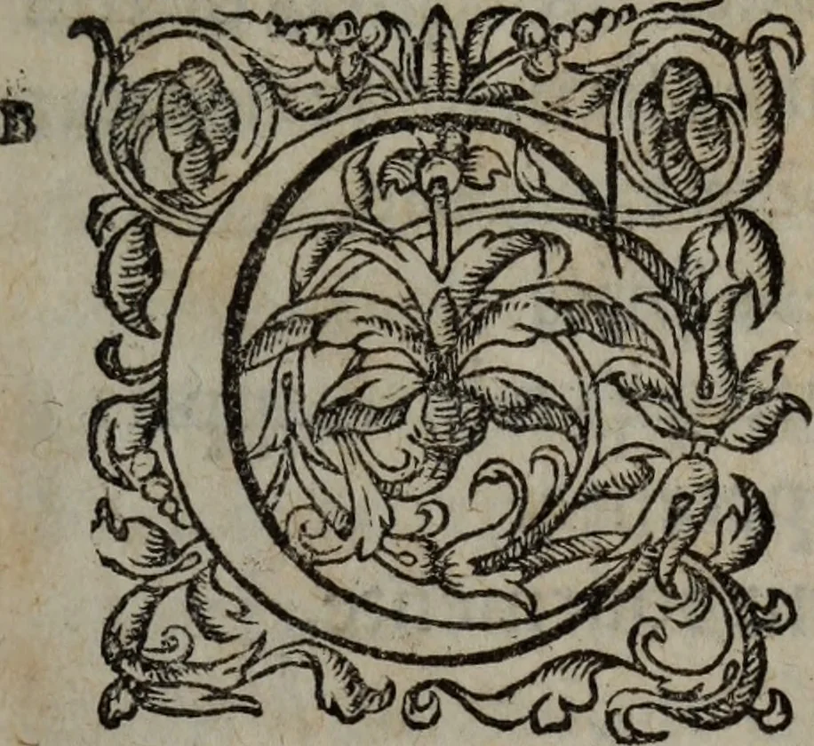 An illustration from Les Oeuvres morales et meslees, 1574, leaf 8