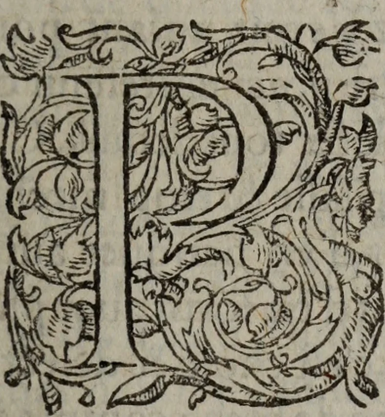 An illustration from Les Oeuvres morales et meslees, 1574, leaf 156