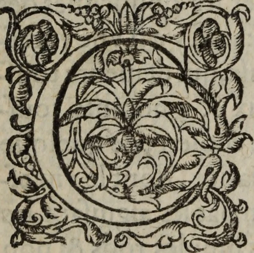 An illustration from Les Oeuvres morales et meslees, 1574, leaf 327