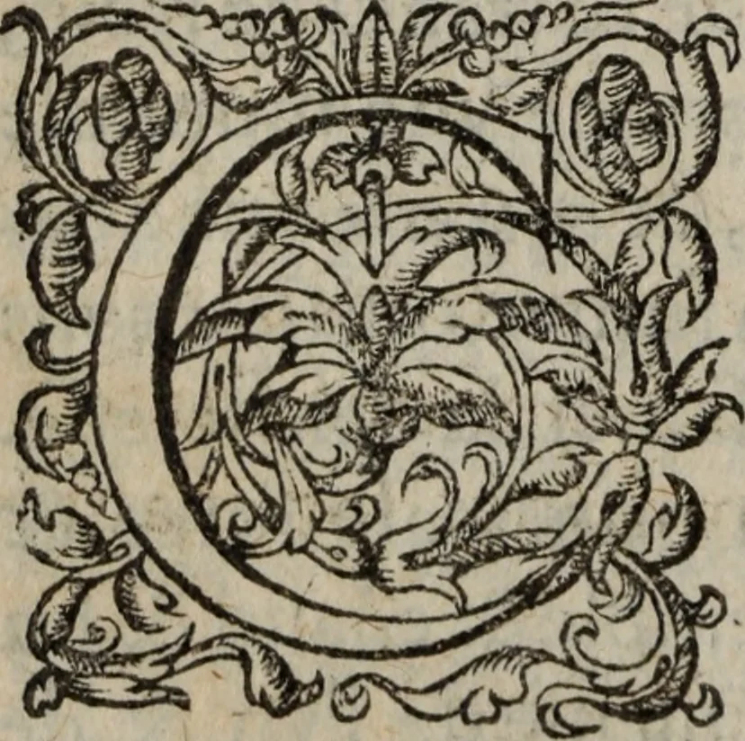 An illustration from Les Oeuvres morales et meslees, 1574, leaf 383