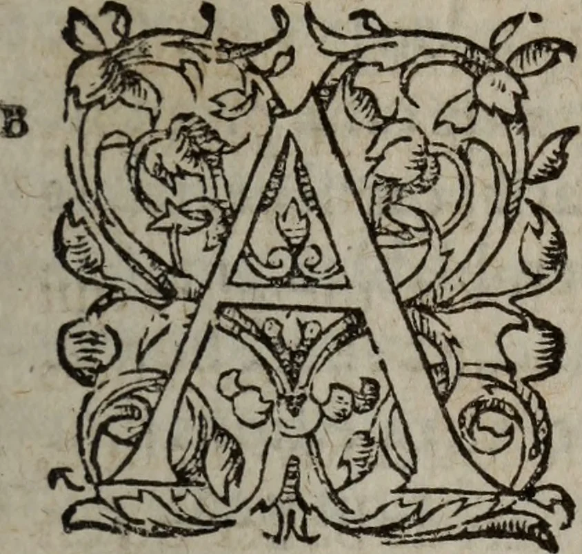 An illustration from Les Oeuvres morales et meslees, 1574, leaf 420