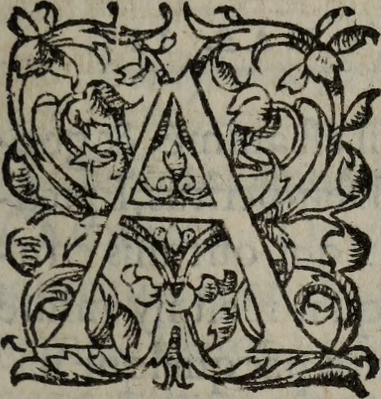 An illustration from Les Oeuvres morales et meslees, 1574, leaf 452