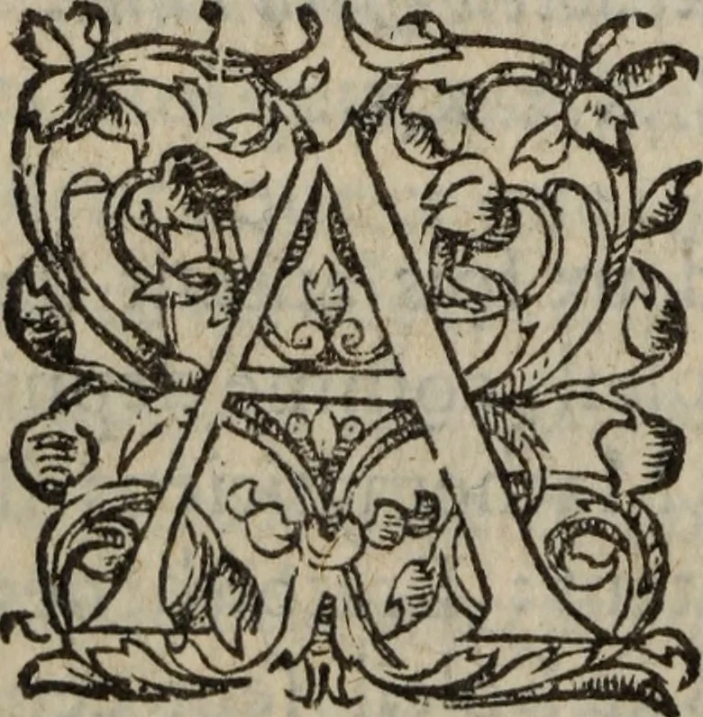 An illustration from Les Oeuvres morales et meslees, 1574, leaf 469