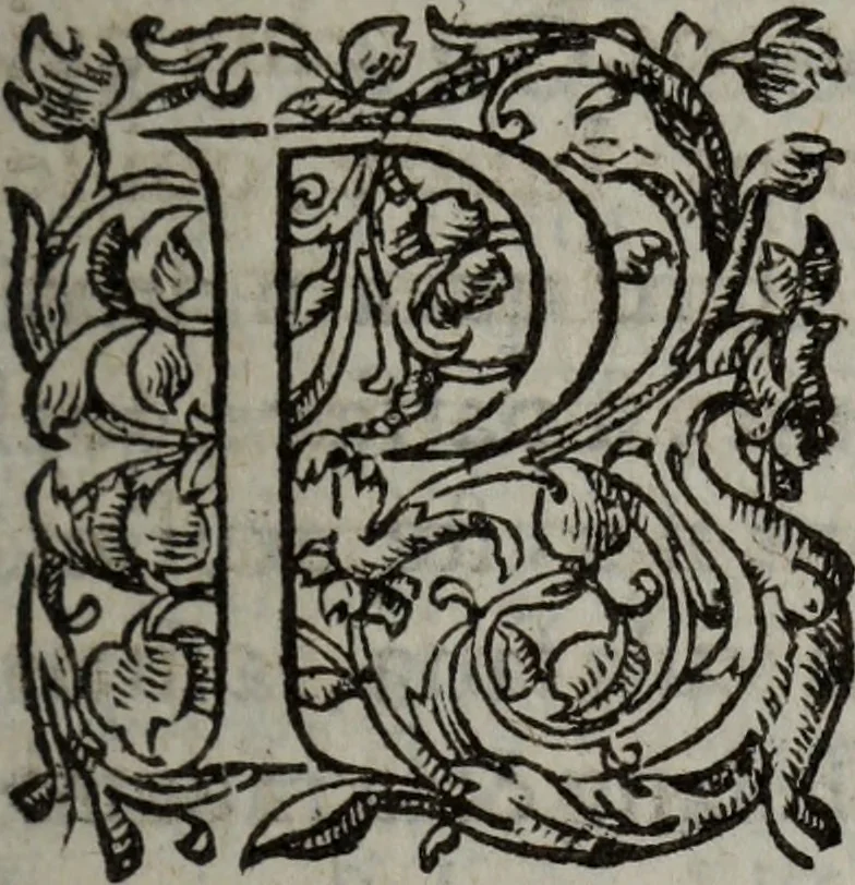 An illustration from Les Oeuvres morales et meslees, 1574, leaf 502