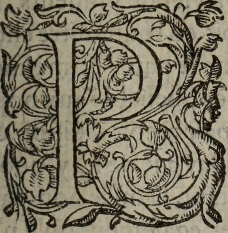An illustration from Les Oeuvres morales et meslees, 1574, leaf 522