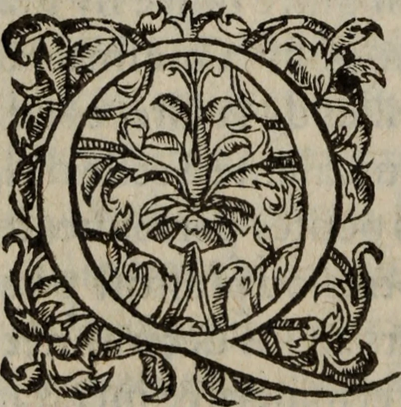 An illustration from Les Oeuvres morales et meslees, 1574, leaf 613