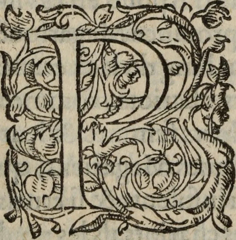 An illustration from Les Oeuvres morales et meslees, 1574, leaf 655