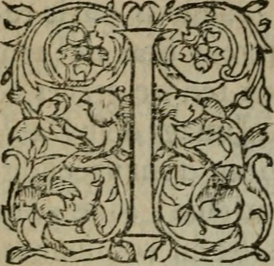 An illustration from Les Oeuvres morales et meslees, 1574, leaf 173