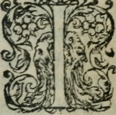 An illustration from Les Oeuvres morales et meslees, 1574, leaf 200