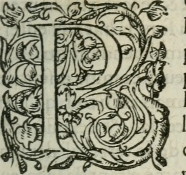 An illustration from Les Oeuvres morales et meslees, 1574, leaf 230