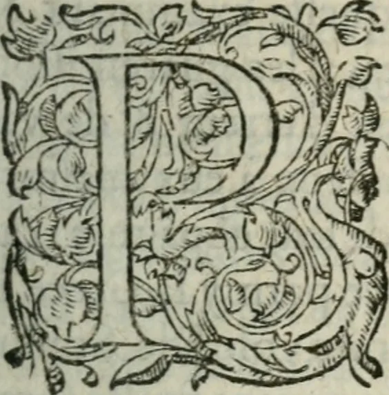 An illustration from Les Oeuvres morales et meslees, 1574, leaf 256