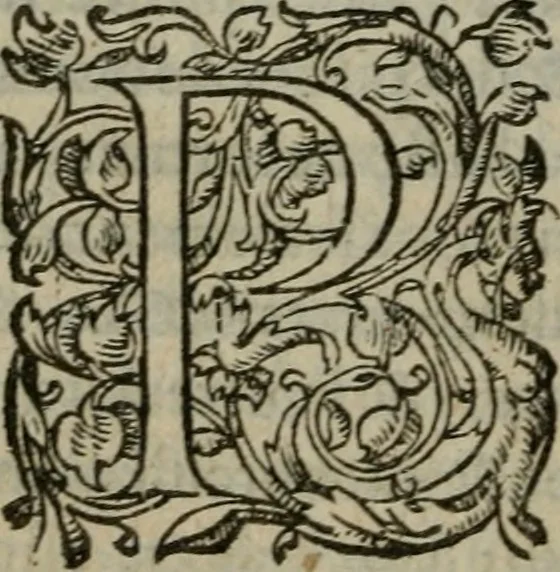 An illustration from Les Oeuvres morales et meslees, 1574, leaf 293