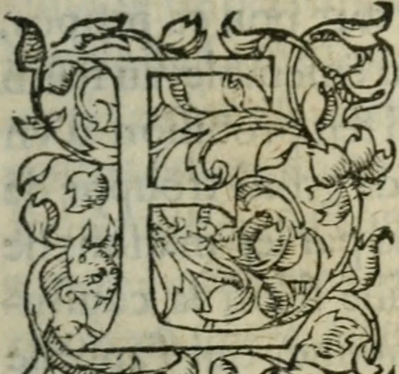 An illustration from Les Oeuvres morales et meslees, 1574, leaf 76