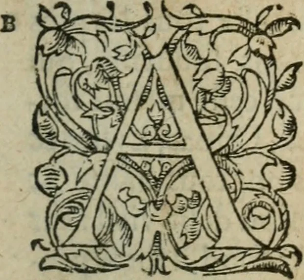 An illustration from Les Oeuvres morales et meslees, 1574, leaf 8