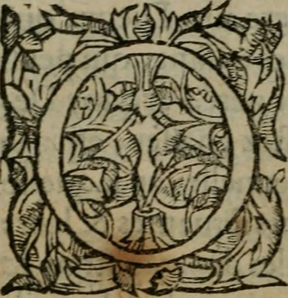 An illustration from Les Oeuvres morales et meslees, 1574, leaf 87
