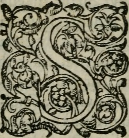 An illustration from Les Oeuvres morales et meslees, 1574, leaf 139