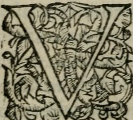 An illustration from Les Oeuvres morales et meslees, 1574, leaf 211