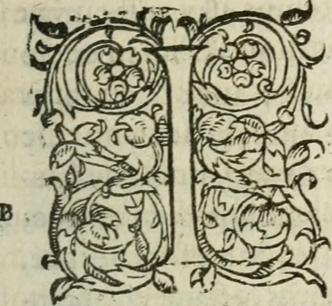 An illustration from Les Oeuvres morales et meslees, 1574, leaf 256