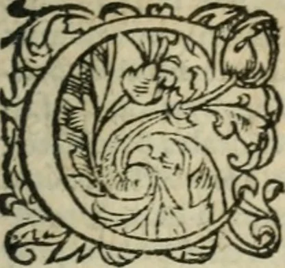 An illustration from Les Oeuvres morales et meslees, 1574, leaf 428