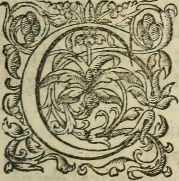 An illustration from Les Oeuvres morales et meslees, 1574, leaf 8
