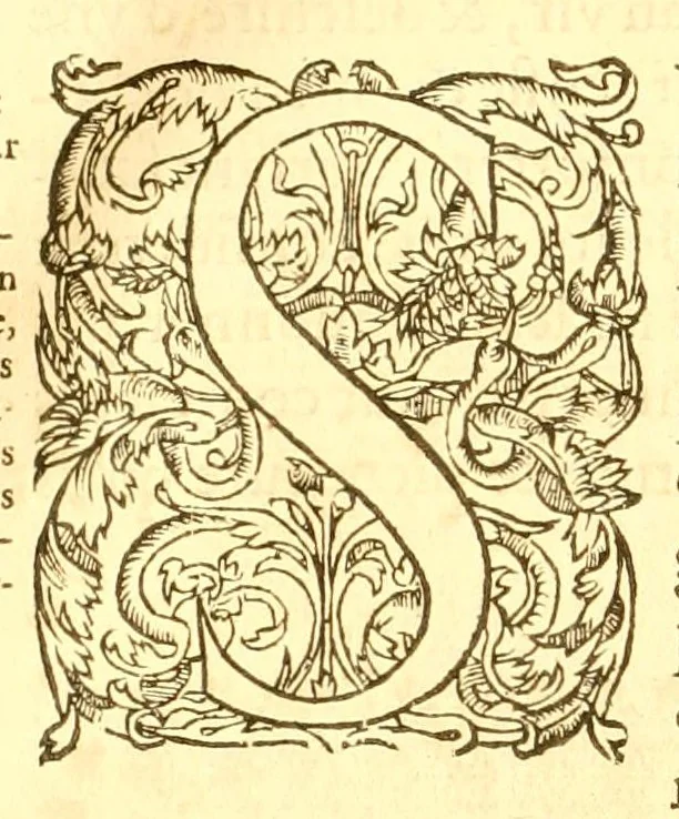An illustration from Les oeuvres morales et meslées de Plutarque, 1665, leaf 158
