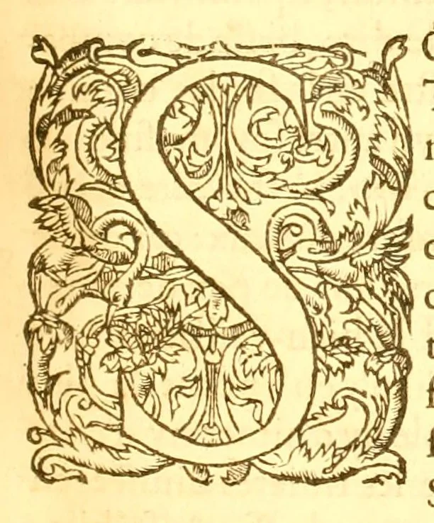 An illustration from Les oeuvres morales et meslées de Plutarque, 1665, leaf 281