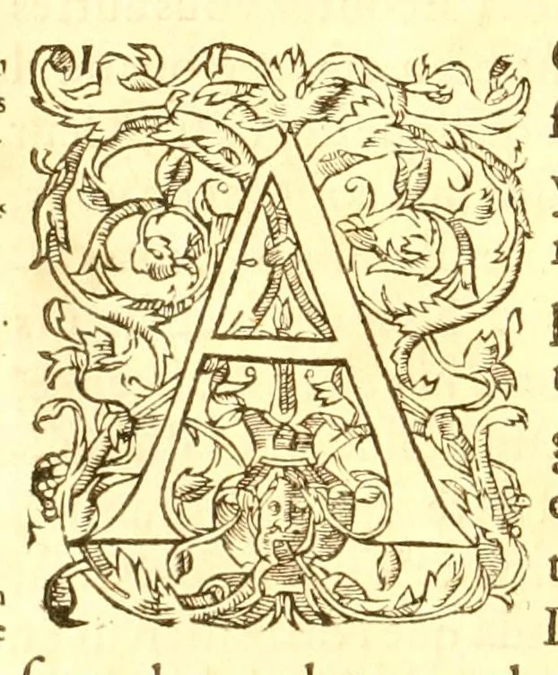 An illustration from Les oeuvres morales et meslées de Plutarque, 1665, leaf 558