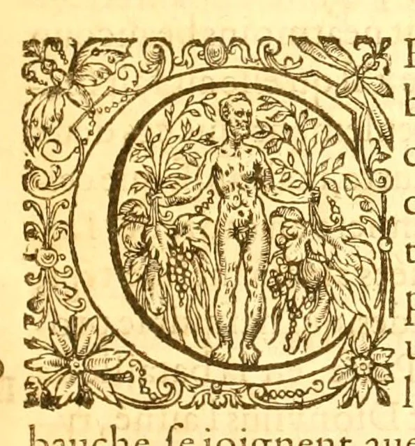 An illustration from Les oeuvres morales et meslées de Plutarque, 1665, leaf 173