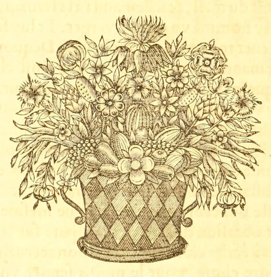 An illustration from Les oeuvres morales et meslées de Plutarque, 1665, leaf 38