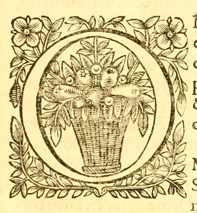 An illustration from Les oeuvres morales et meslées de Plutarque, 1665, leaf 529