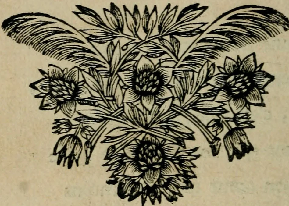 An illustration from Les oeuvres posthumes de defunt Monsieur B. de l'Academie françoise. Contrôleur de l'Argenterie du Roy, 1670, leaf 165