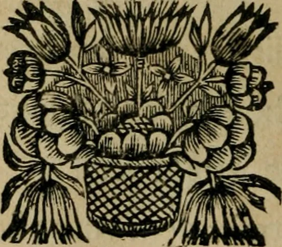 An illustration from Les oeuvres posthumes de defunt Monsieur B. de l'Academie françoise. Contrôleur de l'Argenterie du Roy, 1670, leaf 183