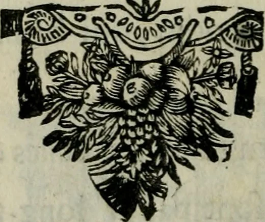 An illustration from Les oeuvres posthumes de defunt Monsieur B. de l'Academie françoise. Contrôleur de l'Argenterie du Roy, 1670, leaf 199