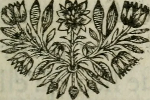 An illustration from Les oeuvres posthumes de monsieur de La Fontaine, 1696, leaf 230
