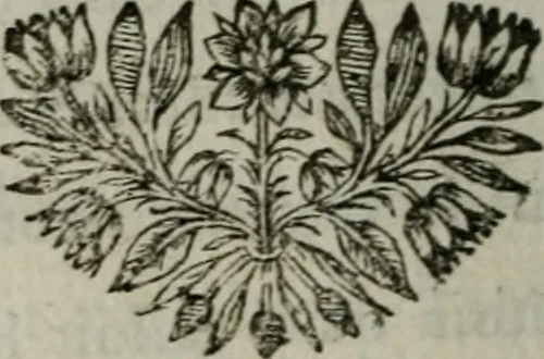 An illustration from Les oeuvres posthumes de monsieur de La Fontaine, 1696, leaf 253